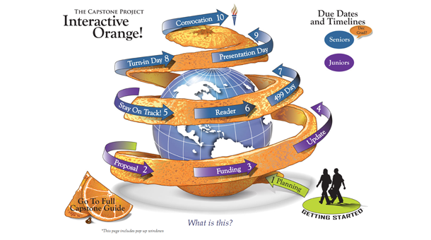 Image of the Capstone Interactive Orange Graphic