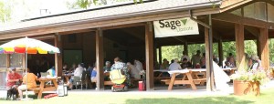 Sage summer picnic