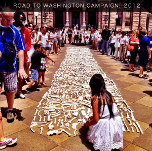 Artist-made bones spread in a path on Washington DC Mall