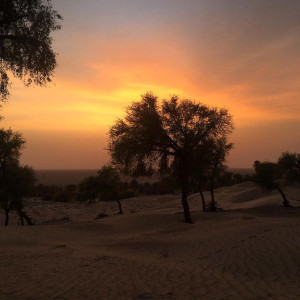 Sunset in Oman