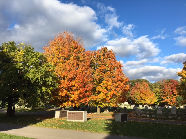 beautiful fall colors