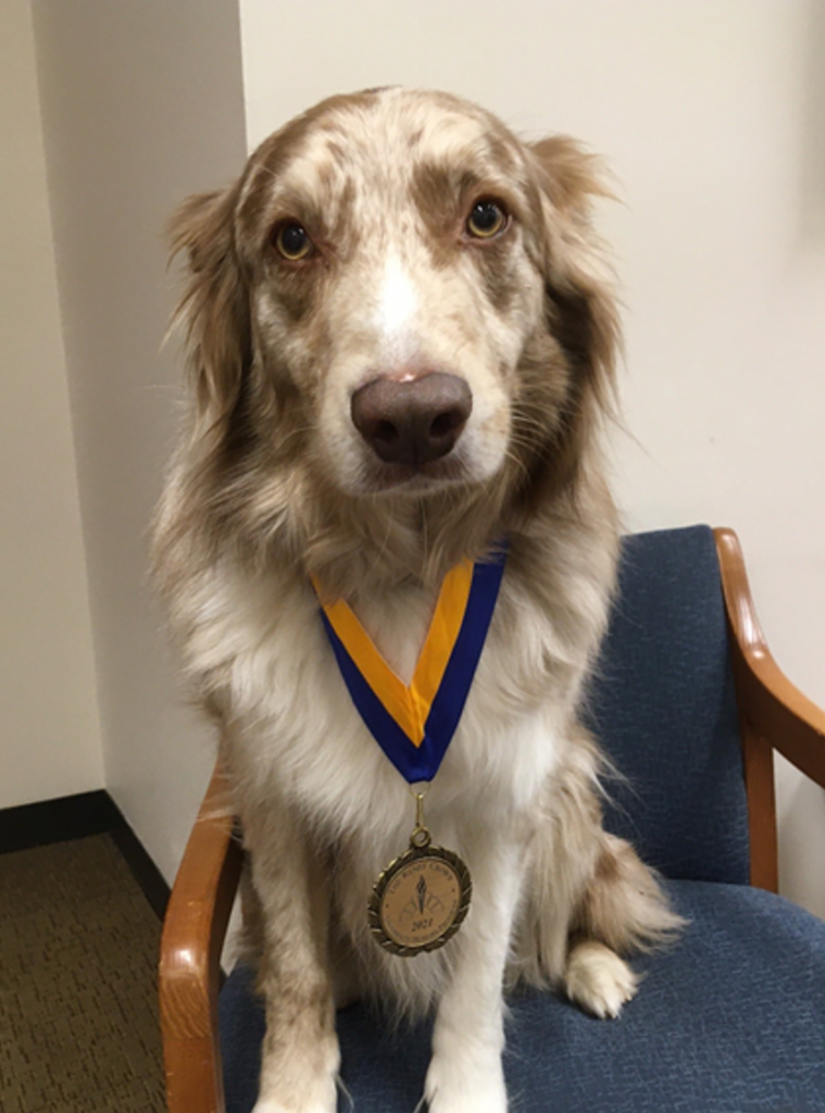dob Butters with Honors medallion