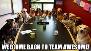 Welcome-back-to-team-awesome-meme dogs seated around conference table